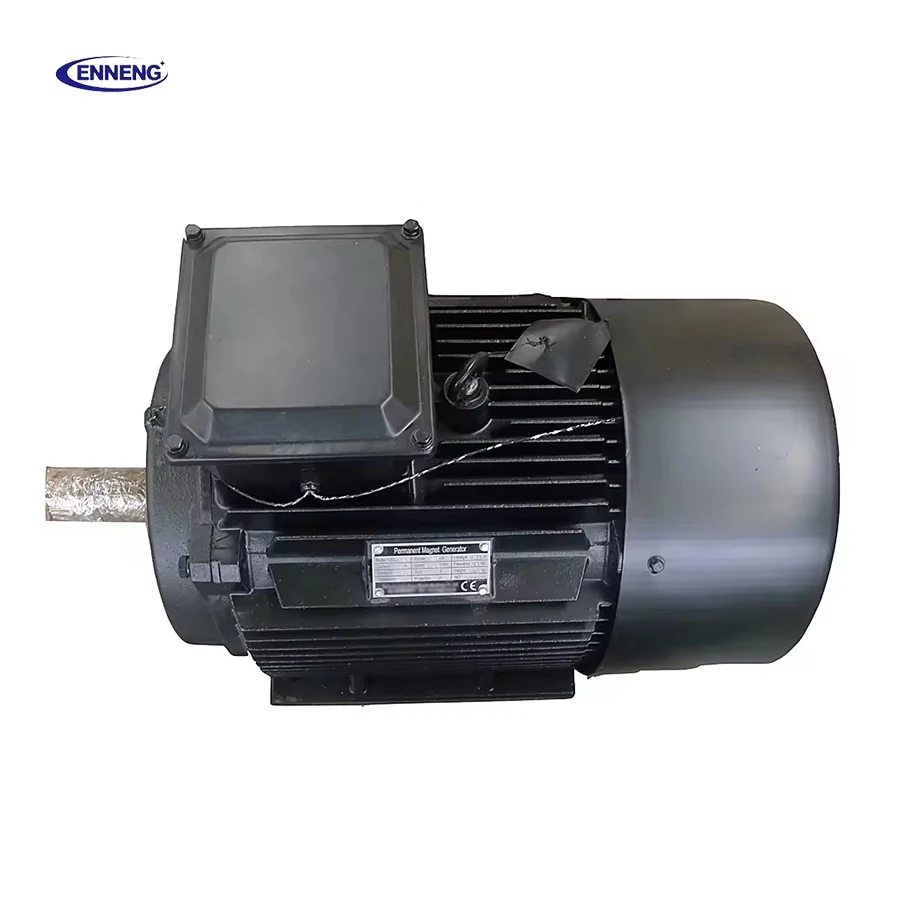 Enneng 110 volt 1000 volt 100kw 1000kw 3 phase permanent magnet hydro generator for wind power