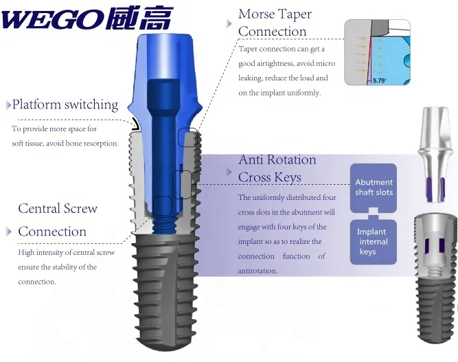 WEGO China Surgic dental implant Dental implant pure titaniumdental implant korea compatible SLA coated service