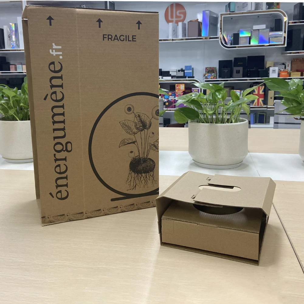Wholesale Custom Made Tuck up Corrugated Farm Potted Flower Mint Small Pots Plant Packaging Shipping Box