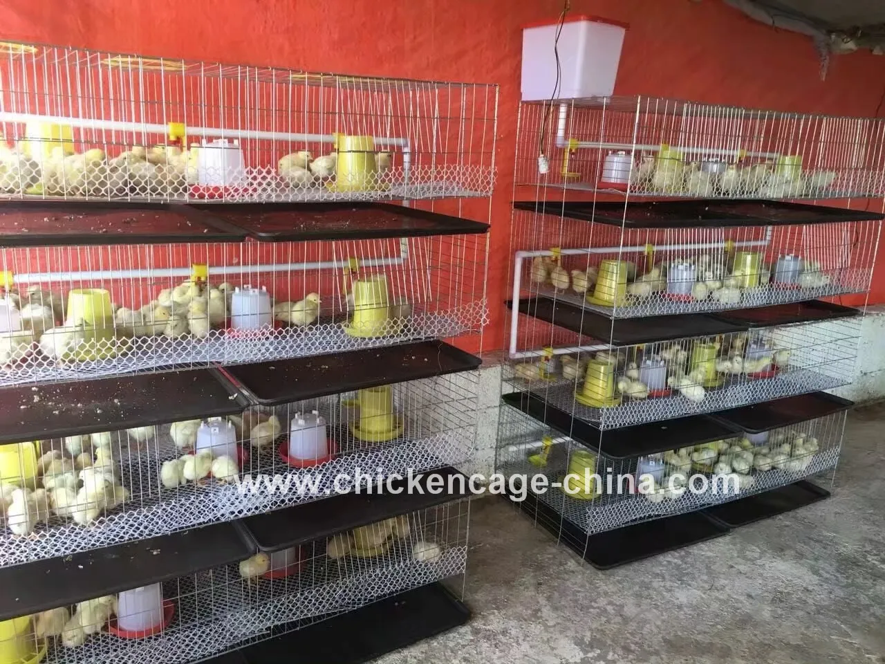 Mink Cages For Sale ,Day Old Broiler Chicks ,Galvanized Baby Chicks Cage