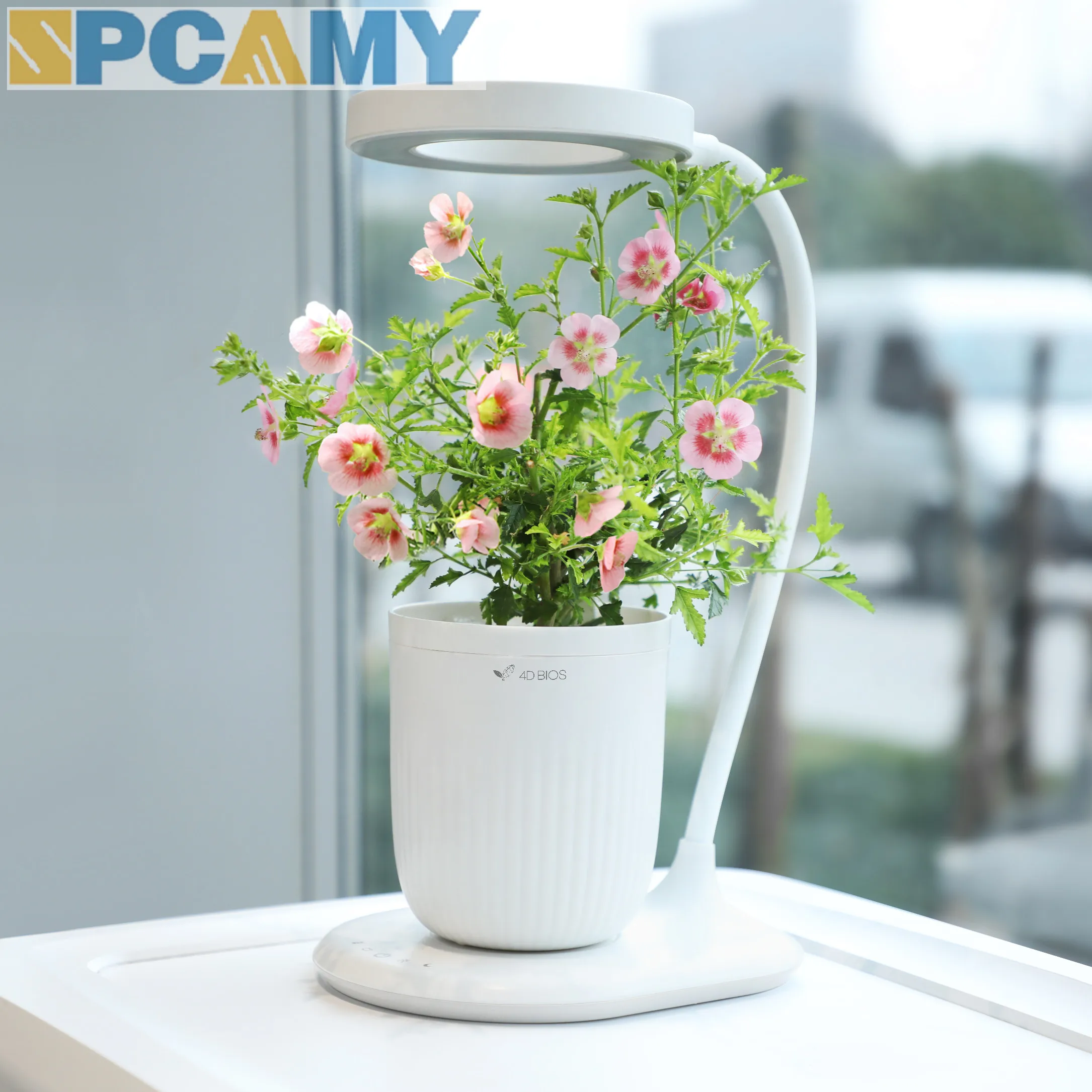 2024 Smart Living water processing plant machine and bottling cabbage planting machine 5W Control Indoor Planting Machine