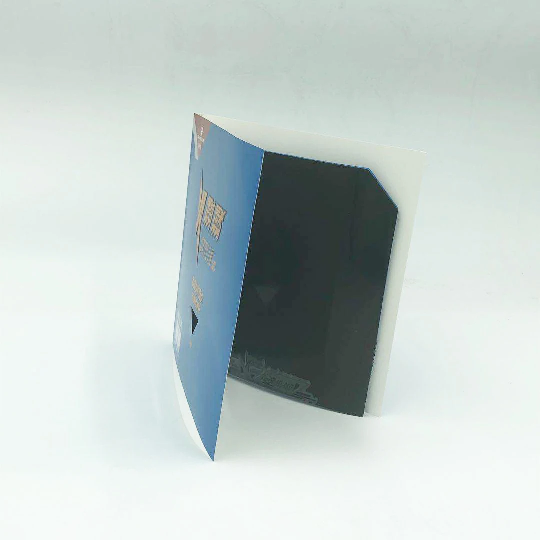 Table Tennis Paddle Professional Racket - Ping Pong Racket With Carrying Case-ITTF Approved Rubber For Tournament Play