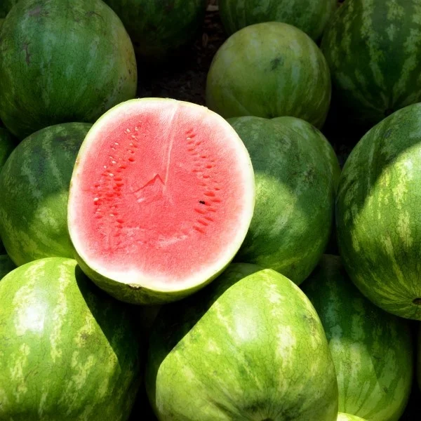 Delicious Taste Premium Quality Bulk Fresh Watermelon from United Kingdom