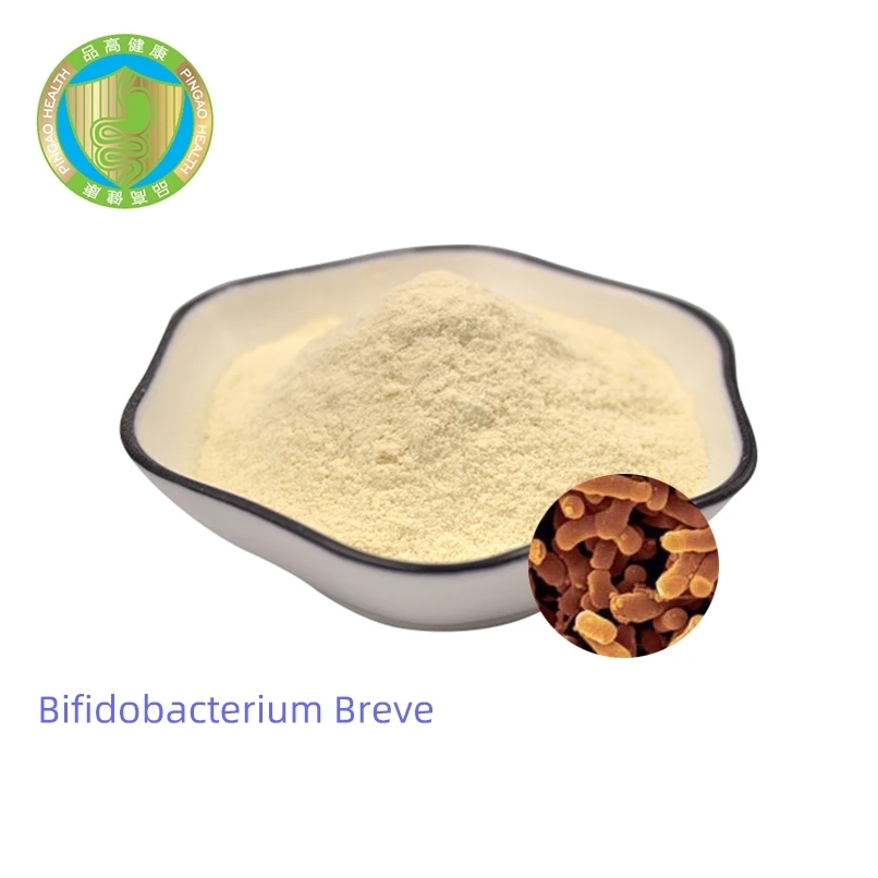 Private Label Bulk Certificate 200B CFU/g Bifidobacterium Breve Wholesale Probiotics