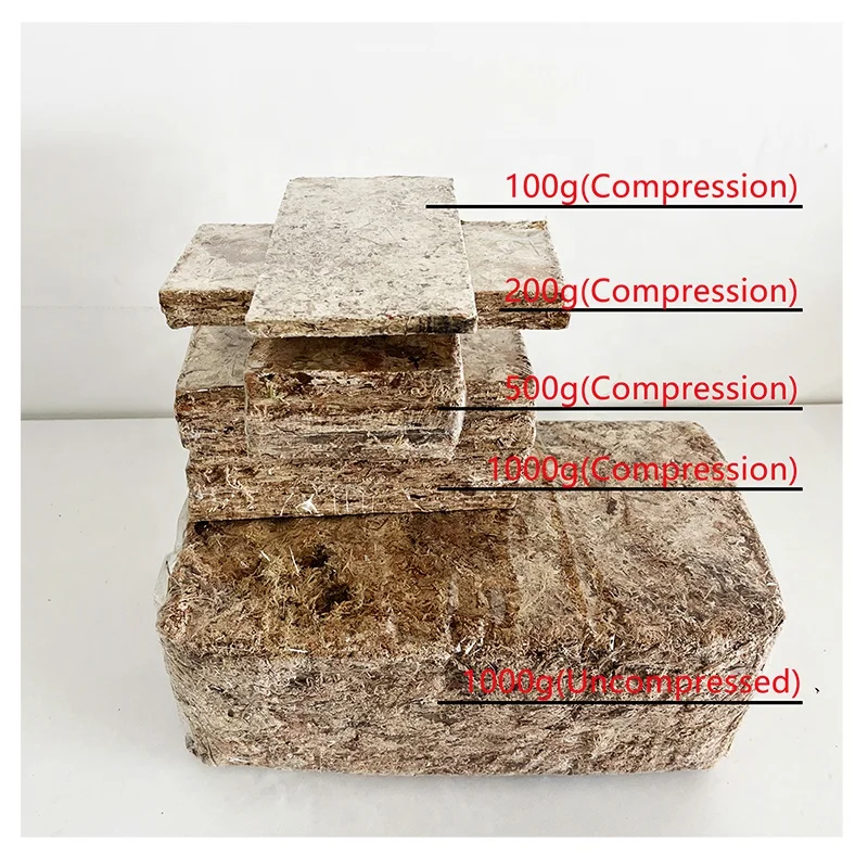 Factory Price Sphagnum Moss For Potted Flowers Cultivation Natural Sphagnum  Moss For Gardening Materials and Seedling Cultu