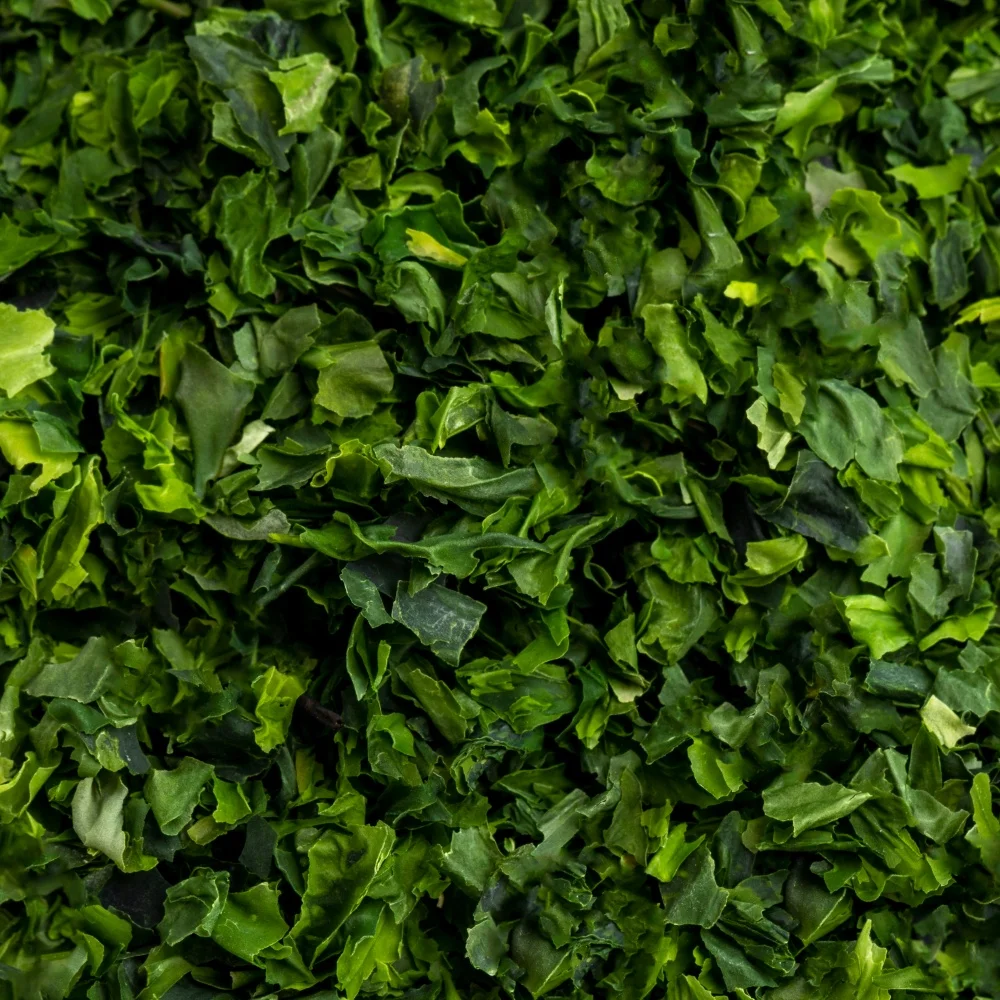 
PURE ULVA LACTUCA/GREEN SEAWEED POWDER 