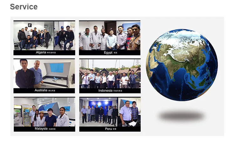 BIOBASE China -86C Freezer Medical Vaccine Refrigerator Container Cold Chain Product -86C Freezer For Sale