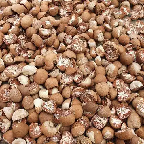 Высокое качество Индонезия BETEL NUT с A3 A4 A5 качественный сушеный на солнце Betel