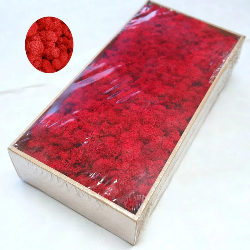Yunnan Wholesale Colorful Preserved Moss 500g/box for Home Garden Wall Decoration Preserved Flowers and Plants