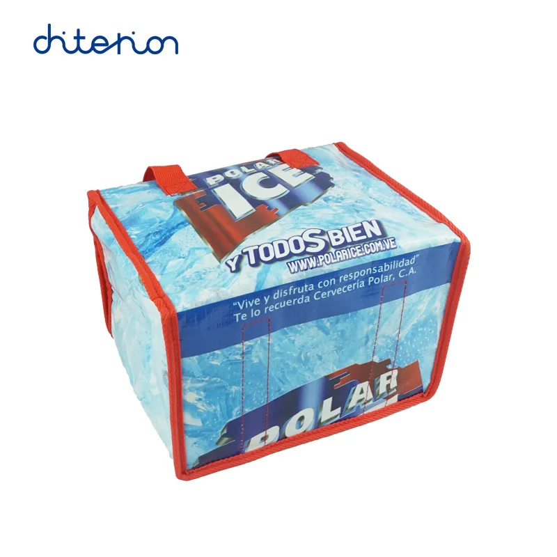 Chiterion PP/PE Woven Insulated Thermal Bolsa Milk Drink Cooler Bolsa Lunch Tote Box Cool Ice Bag for Kids Women School Office