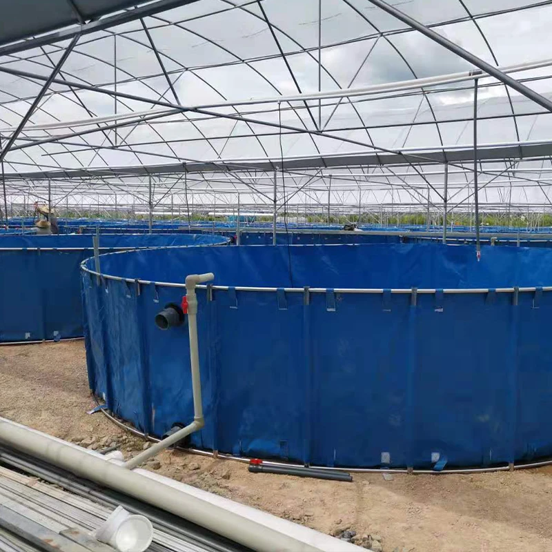 High Density Movable Aqua Fish Farming Pool Folding Tilapia Breeding Pond Ras Fish Tank With Best Price