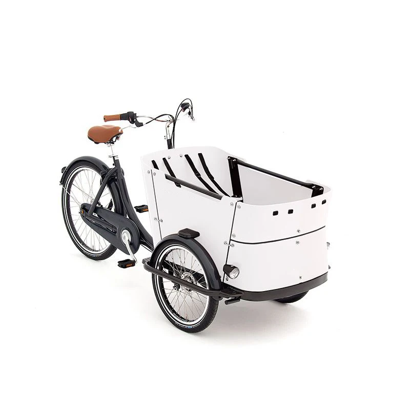 European Quality Aluminum Alloy Tricycle Delivery Bike 3 Wheel  Cargo Bike