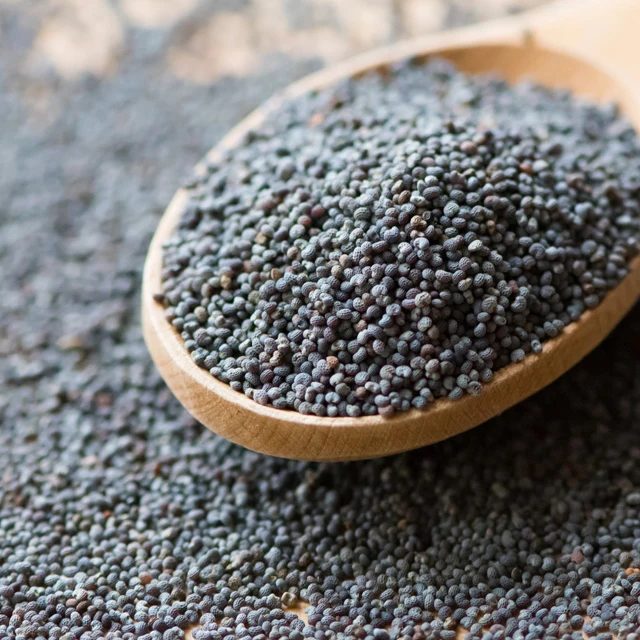 Czech Blue Poppy Seed