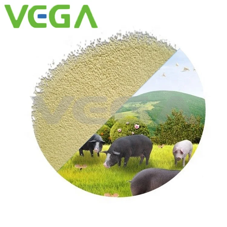 
VEGA Feed Grade Manufacturers Animal Feed Vitamin AD3 Vitamin AD3 1,000,000/200IU/G Feed Grade Manufacturers /Animal Feed Vitamin AD3 100/200 Alibaba Supplier