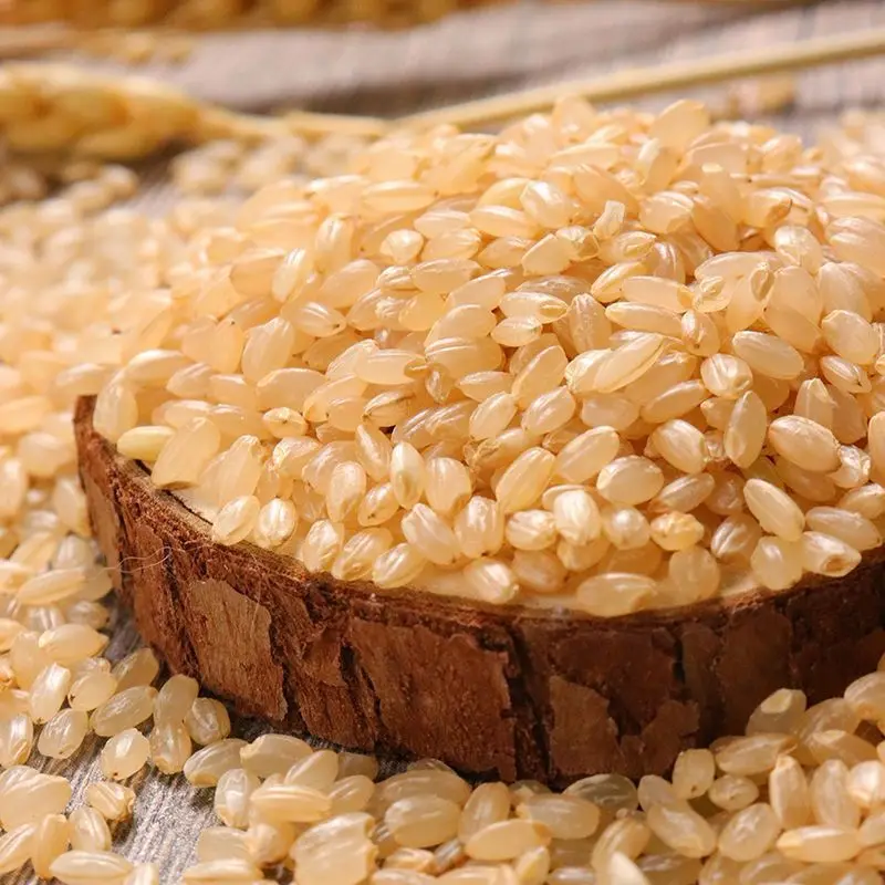 2180 Cao mi top selling herb natural polished round-grained rice natural for spice