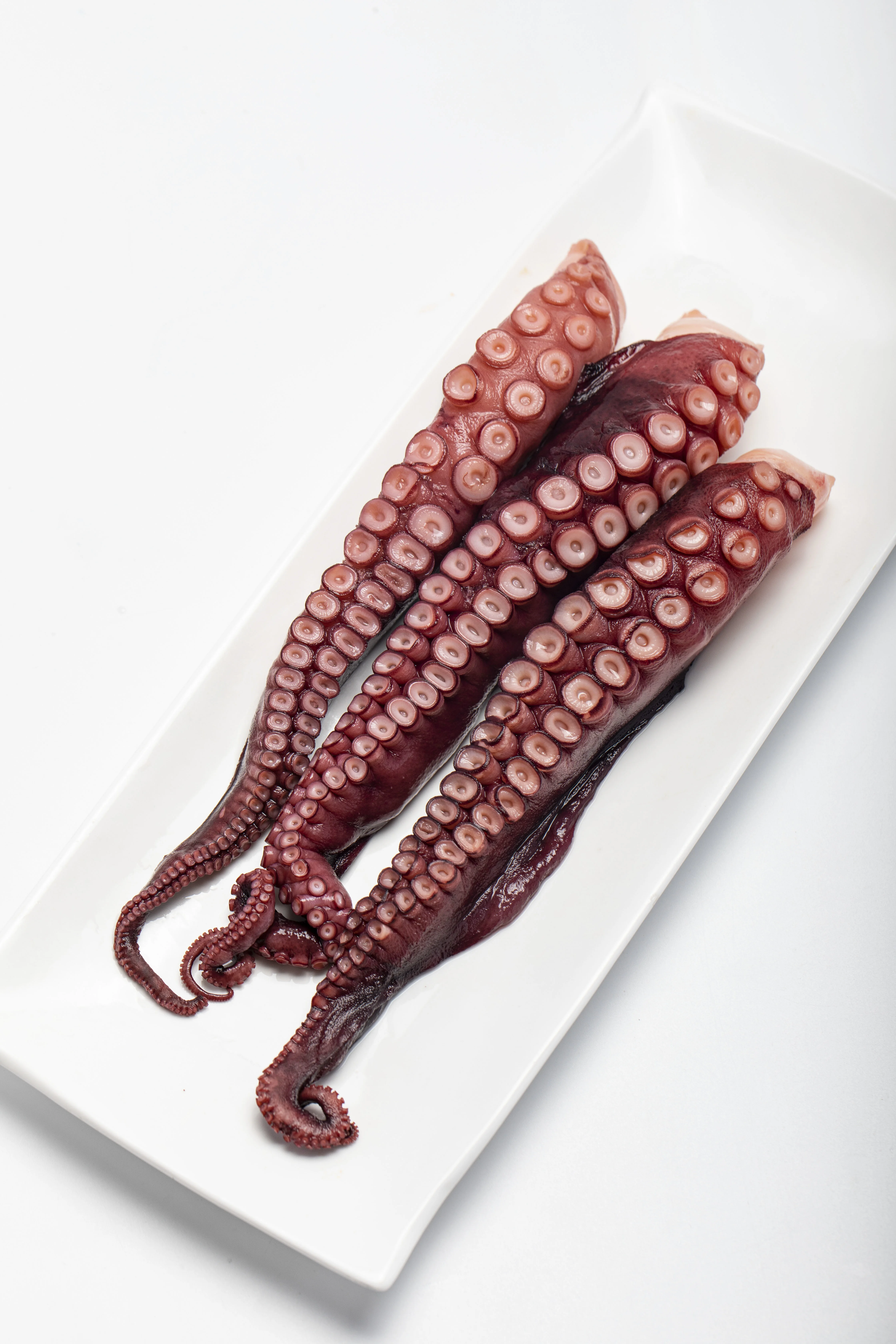 Japanese Seafood Octopus Tentacles Frozen Arms for Sushi Restaurant Natural Polybag Packaging Japanese Food Octopus 2 3 Kg Leg