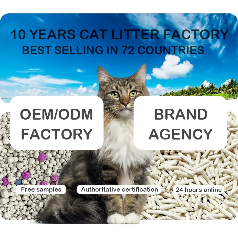 Wholesale Cat Litter Strong Deodorization Silica Gel Cat Litter Crystal