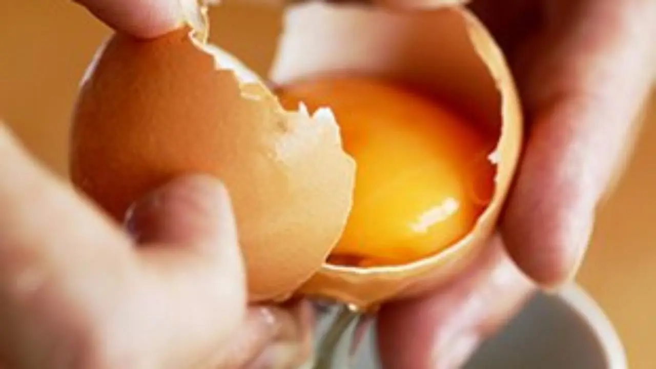 
Malaysia Fresh Chicken Eggs Zenxin Antibiotic Free Little-cutie Eggs 