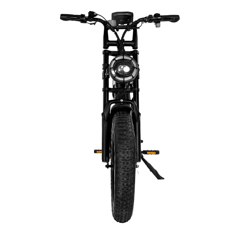 US EU Warehouse 20inch V20 750w electric bike fat tire bicycle beach cruise e-bike all terrain off road ebike e-bike