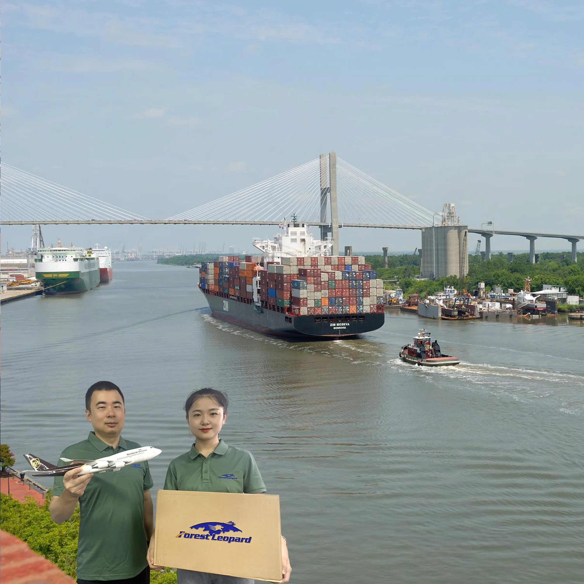 Услуга Amazon Fba доставка морских перевозок быстрая в США из Китая глобальный логистический контейнер Гонконг