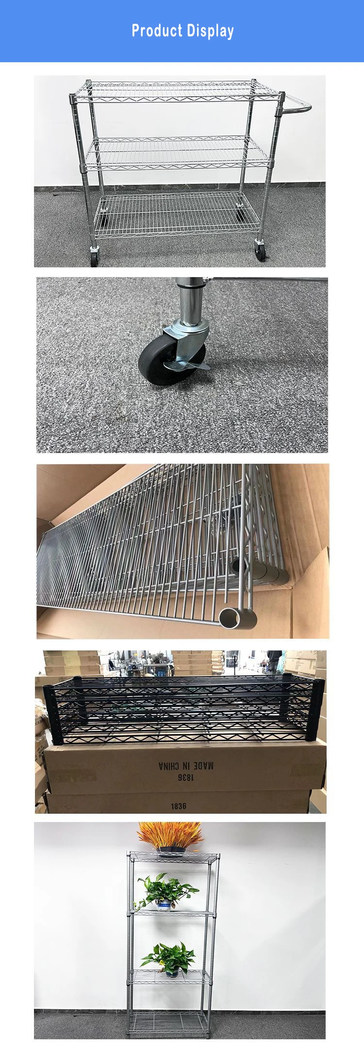 Product display.jpg