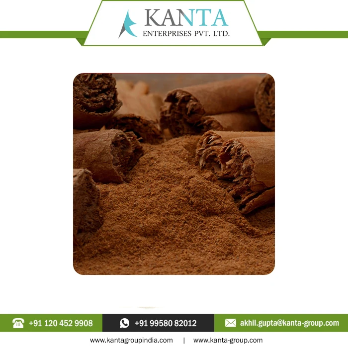 Best Selling Medically Tested Cinnamon Essential Oil Fight bacteria, parasites and fungi at Low Price