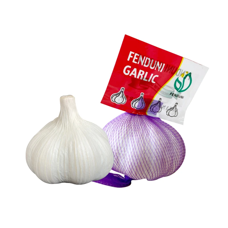 Bulk Garlic for Sale - Get the Best Deals Now