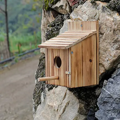 Custom carbonized pine solid wood feeding terrace outdoor sanctuary aviaries for birds aviary outdoor bird cage bird aviary
