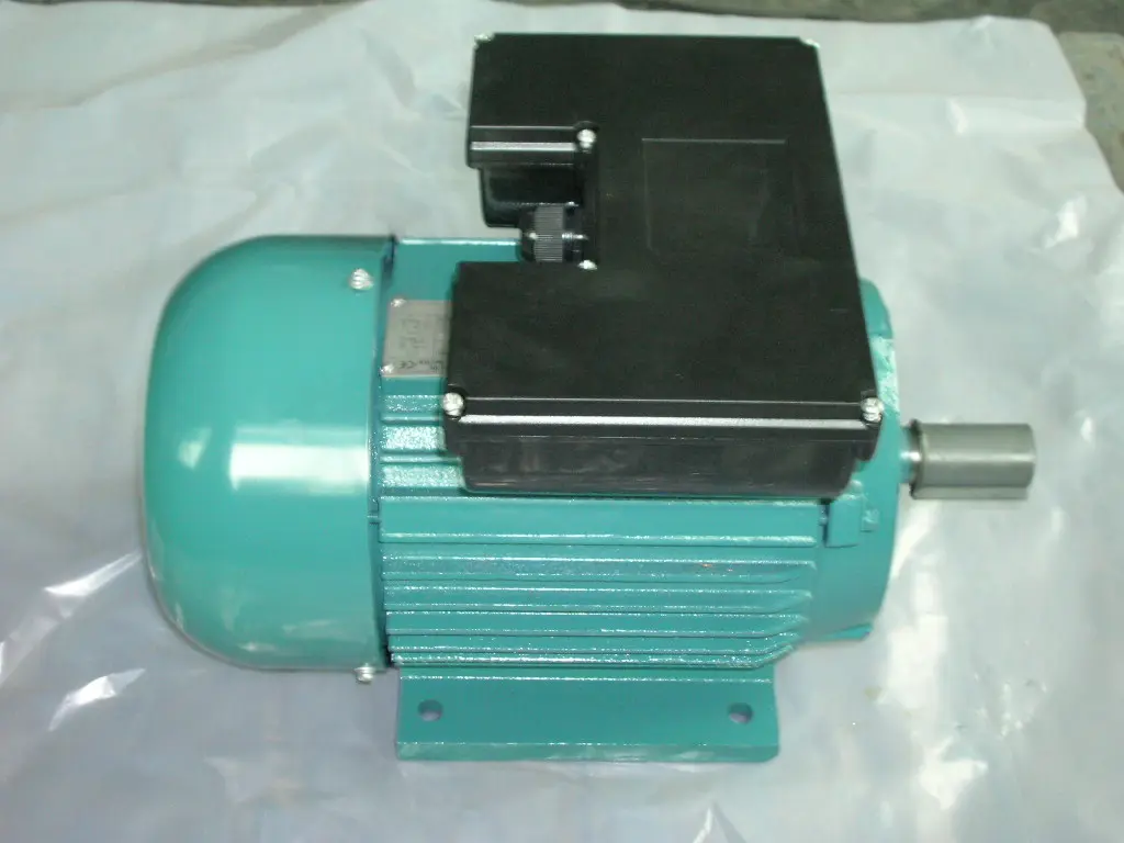 (YL100L2)YL series single-phase two-value capacitor asynchrinous motor