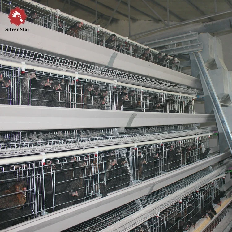 Cheap Chicken Layer Cage Price/Egg Laying Hens Cage/Chicken Cage For Sale