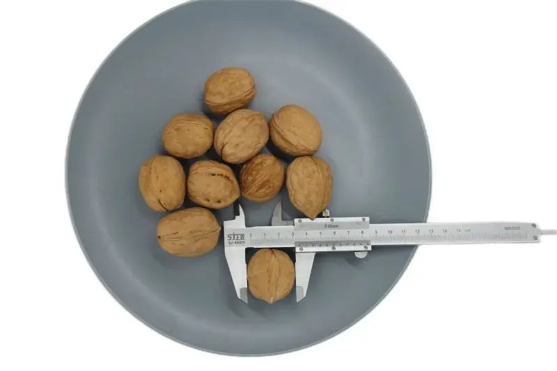 Chinese factories sell large quantities of cheap quality bulk walnut kernels