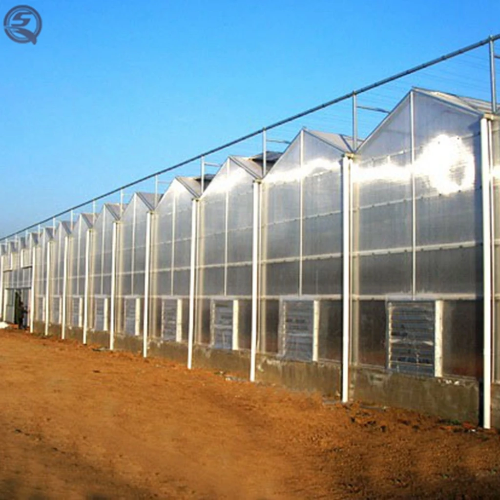PC board soilless greenhouse with hydroponic system for vegetables Planting automatic greenhouse system