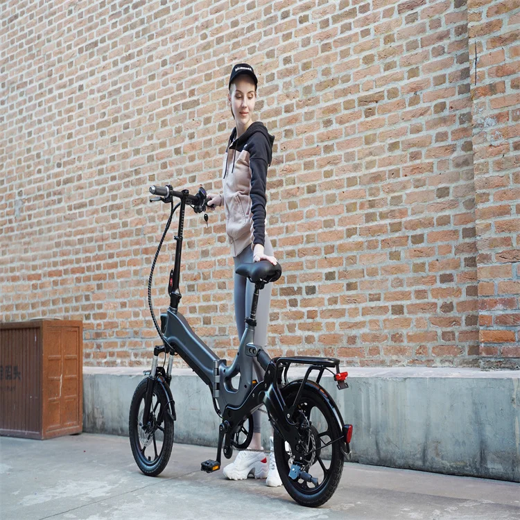 48V Electric Mountain Bike with Central Mid Drive Motor Featuring Suspension Fork and Disc Brake for 350W 500W 750W