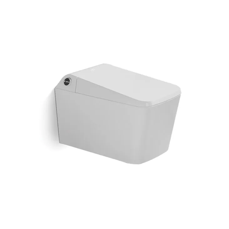Wall Mounted Installation Smart Toilet Home Hotel Restaurant Bathroom Sanitary Ware Wc Toilet Ceramic