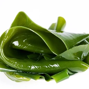 Bulk Wholesale  Seafood Dried Kelp No Additive Organic Kelp Slices  Kelp Roll  Low Price Promotion