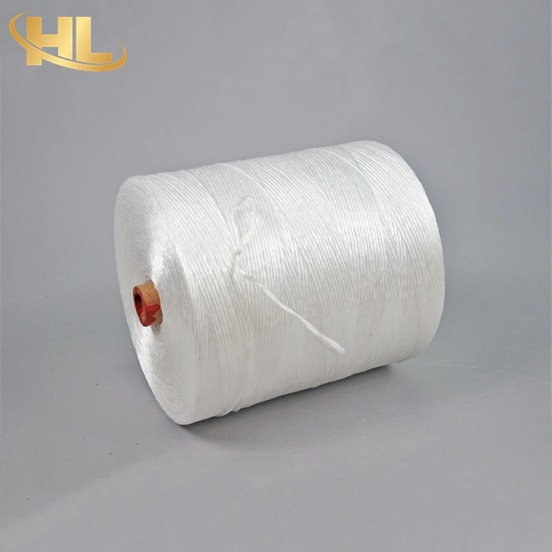 Wuxi Henglong OEM Wholesale UV Treated Agro Greenhouse Horticulture Vegetable Fruit Plastic PP Polypropylene Twine