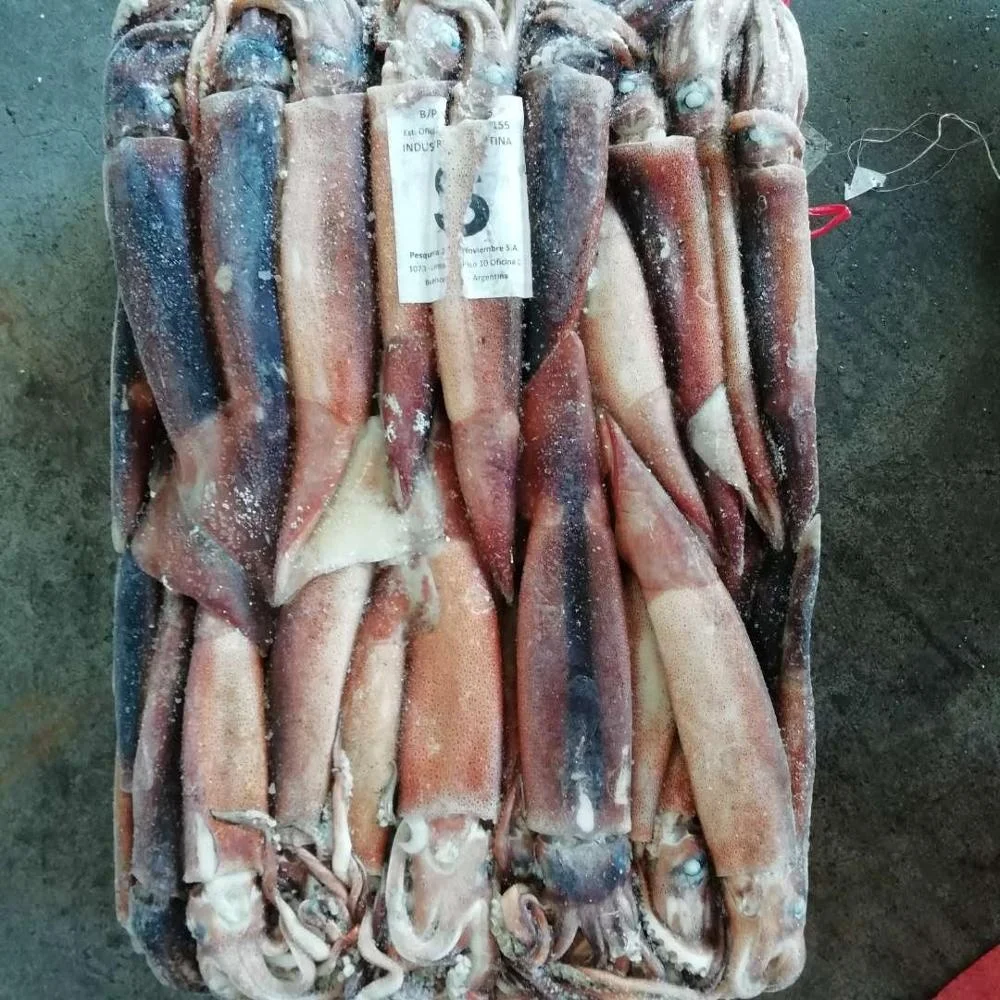 Морепродукты, замороженный кальмар Illex для приманки тунца
