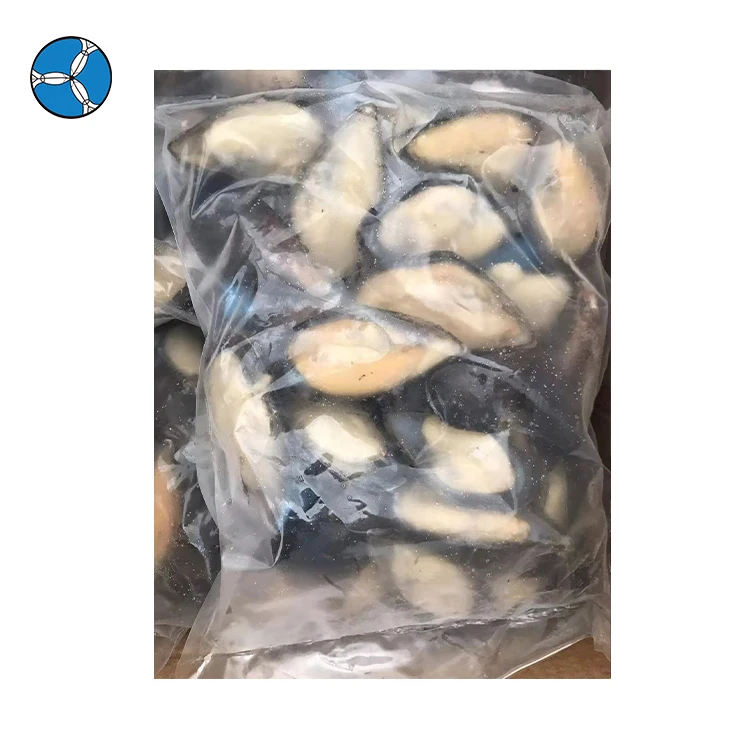 New Arrival  Mussel SANFENG SEAFOOD IQF Half Shell Mussel Shellfish Mussel for Export