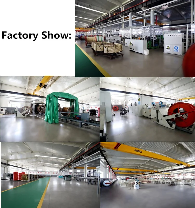 Factory show