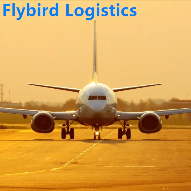 Professional air/sea/express freight forwarder shipping from china to Burkina faso