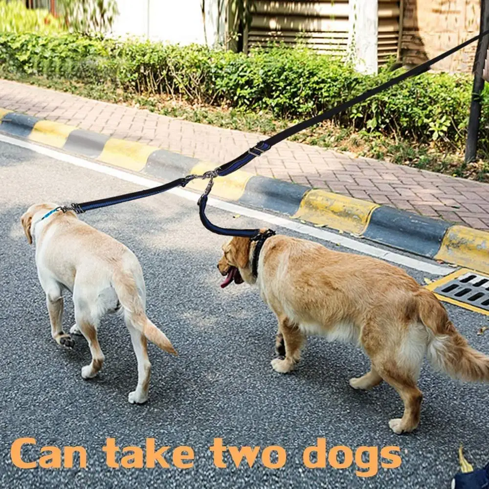 Strong Dog Nylon Rope Leash With Comfortable Padded Handle Highly Reflective Threads Dog Leashes