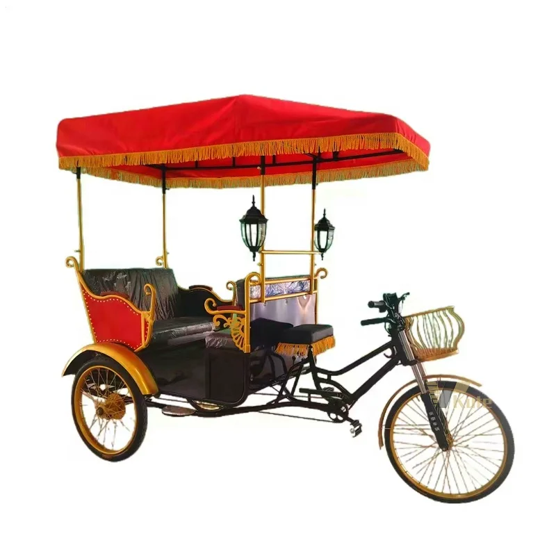 Electric Rickshaw Rear Passenger 500W Motor Tricycle  Three Wheeler Auto Rickshaw Pedicab for Sale