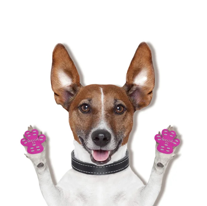 Wholesale 4pcs/set Dog Paw Protection Pads Anti Slip Pet Paw Protector Self Adhesive Dog Paw Stickers