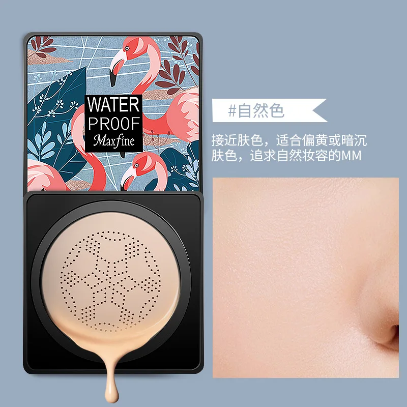 mushroom head air cushion concealer waterproof BB cream makeup private label  face oem foundation(new)