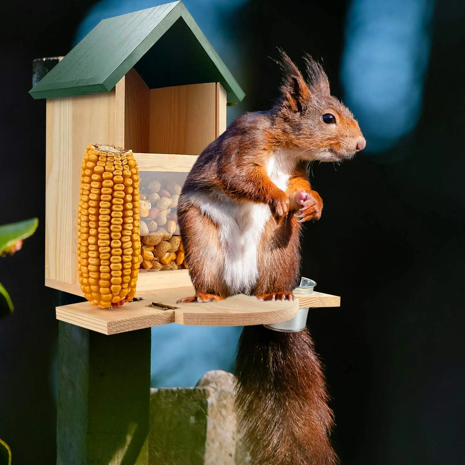 Multi-functional Solid Structure Wooden Squirrel Feeder Box / Feeding House with Cup