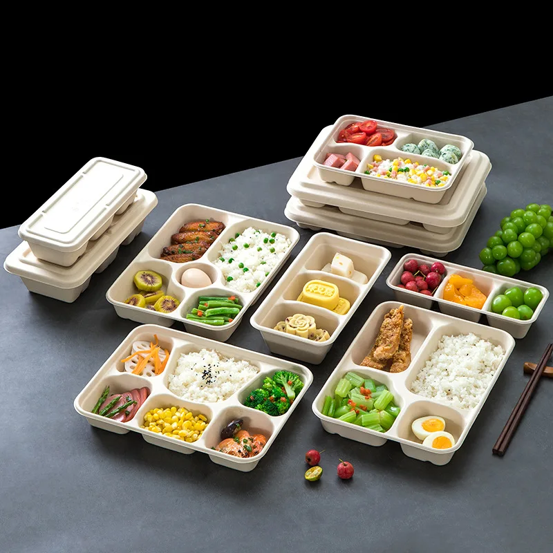 100% biodegradable disposable sugarcane 5-compartment Party school lunch tray with lid