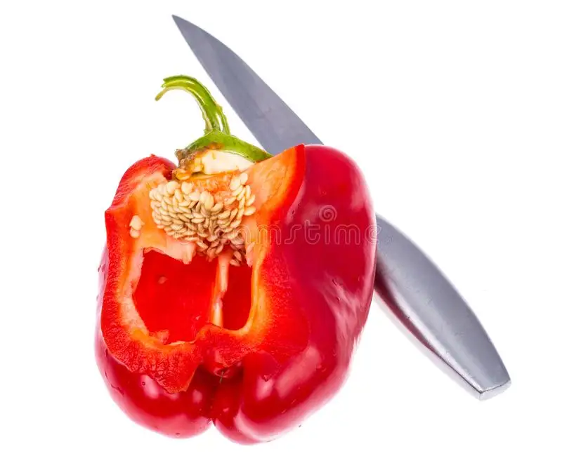 Red bell pepper sweet pepper