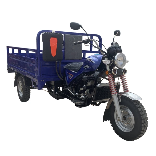 Factory Wholesale Price 150cc Engine 3 Wheel Petrol Cargo Tricycle In China