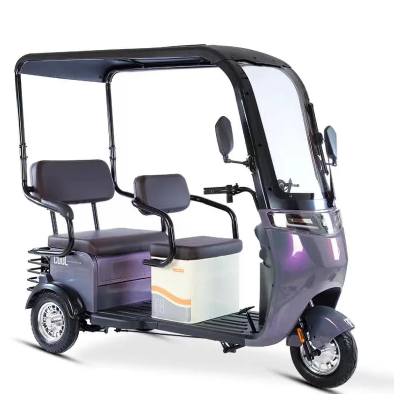 Wholesale 800W 48V/60V Electric Tricycle 3 Wheels Scooter For The Elderly And The Disabled Multi-functional Seat Design