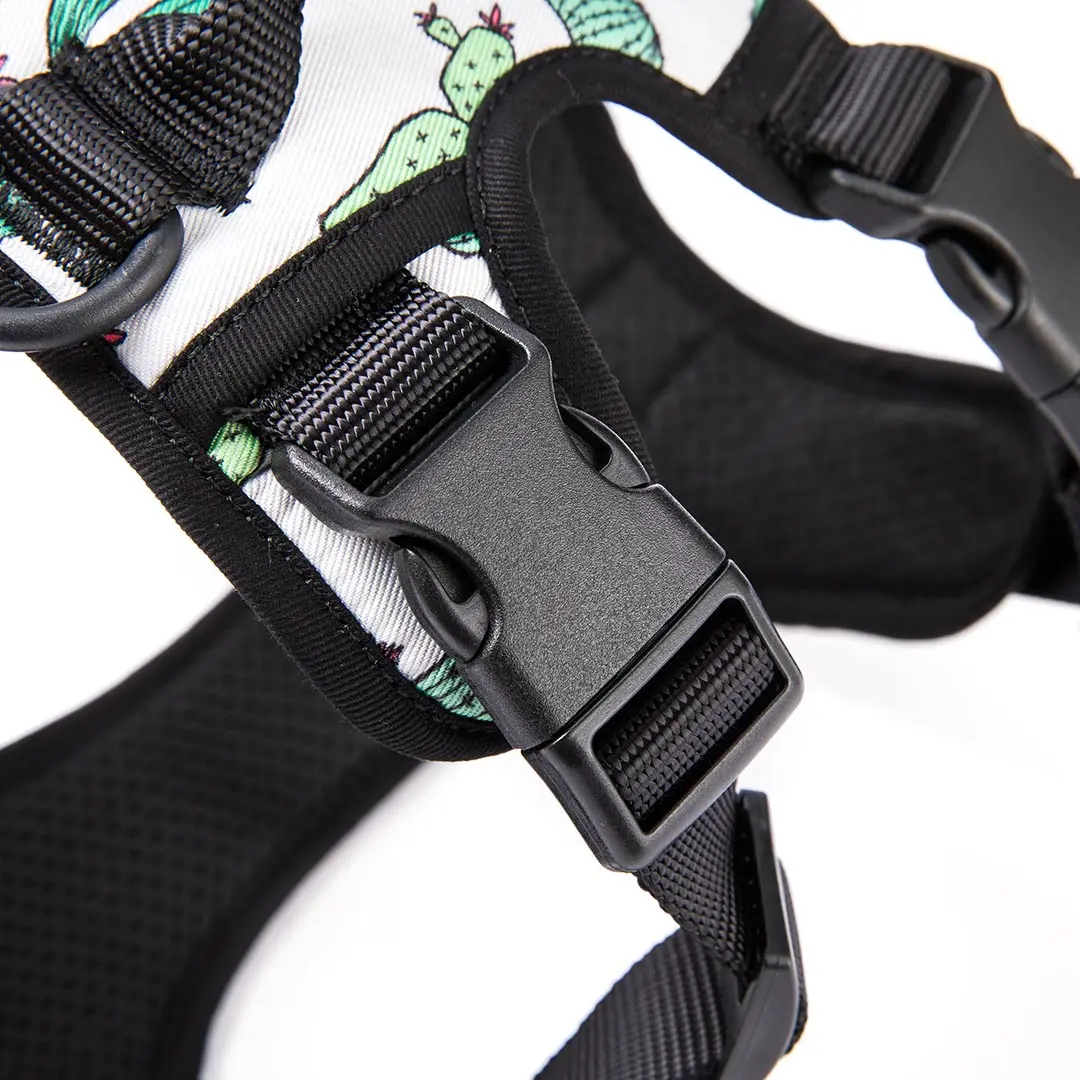 All Weather Mesh Harness And Reflective Dog Pet Leash With Neoprene Handle For Small Medium And Large Breed Puppies